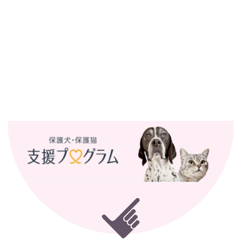 アマゾンジャパン