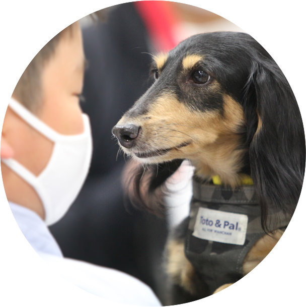 譲渡会イメージ